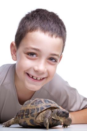 My Pet And I Education Grants